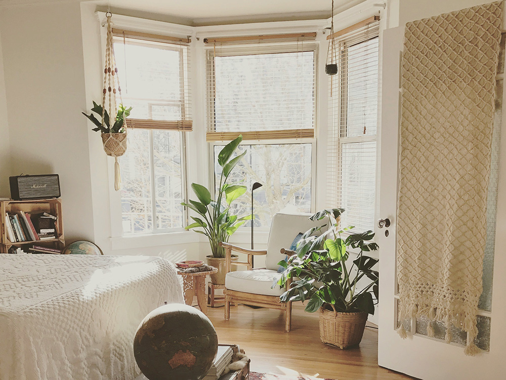 Pflanzen im Wohnzimmer